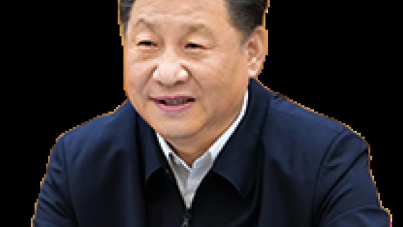 化工原料型号解析：如何从参数中洞察性能优劣**